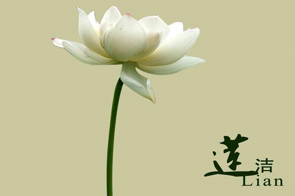 171692250115478725.png 廉洁的花朵_副本.png