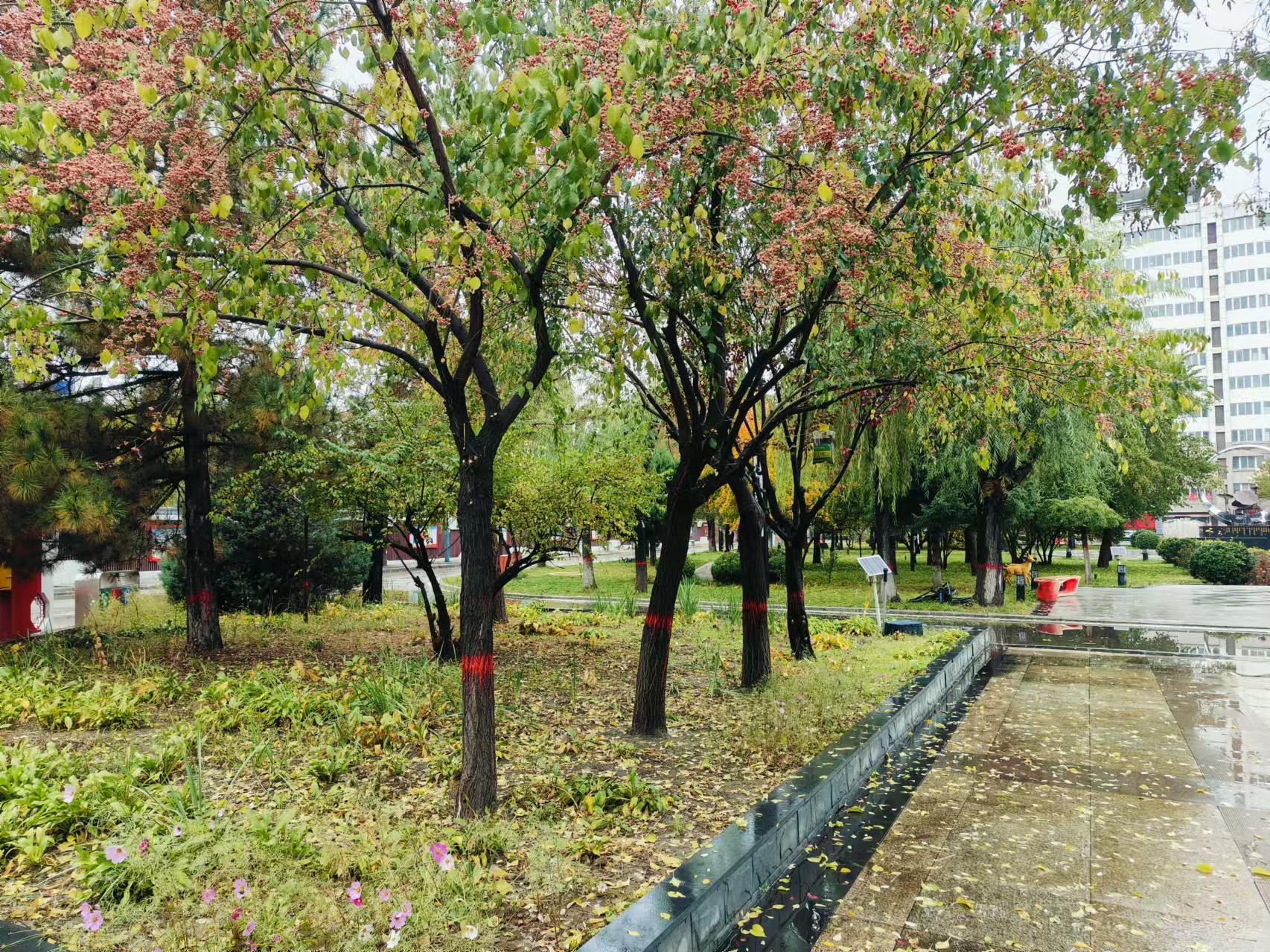 281730099490938652.jpeg 微信图片_20241028145935.jpg