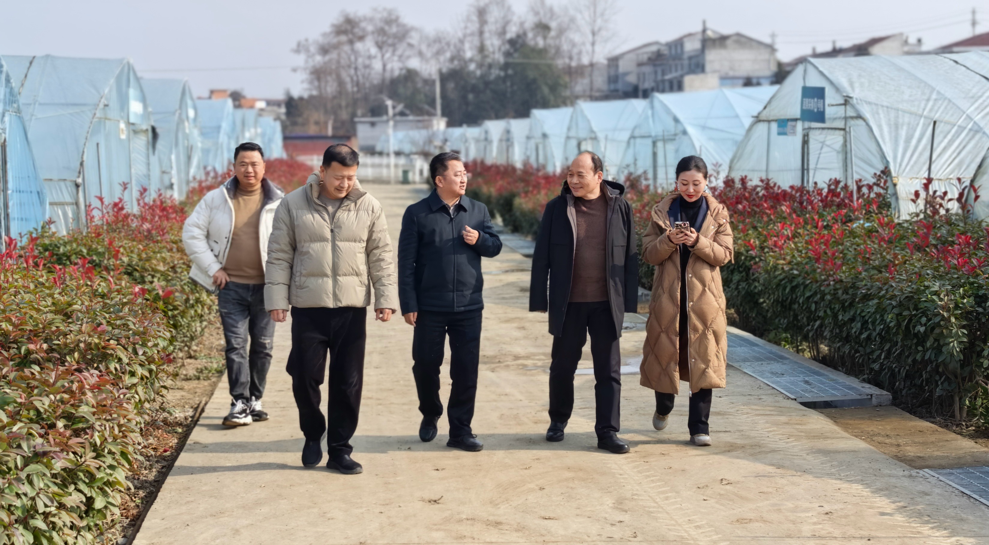 微信图片_20260203094718_446_258.jpg